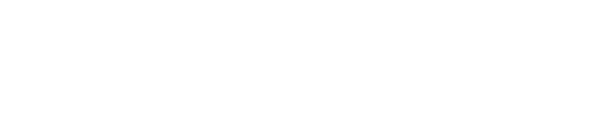 logo-autotorino