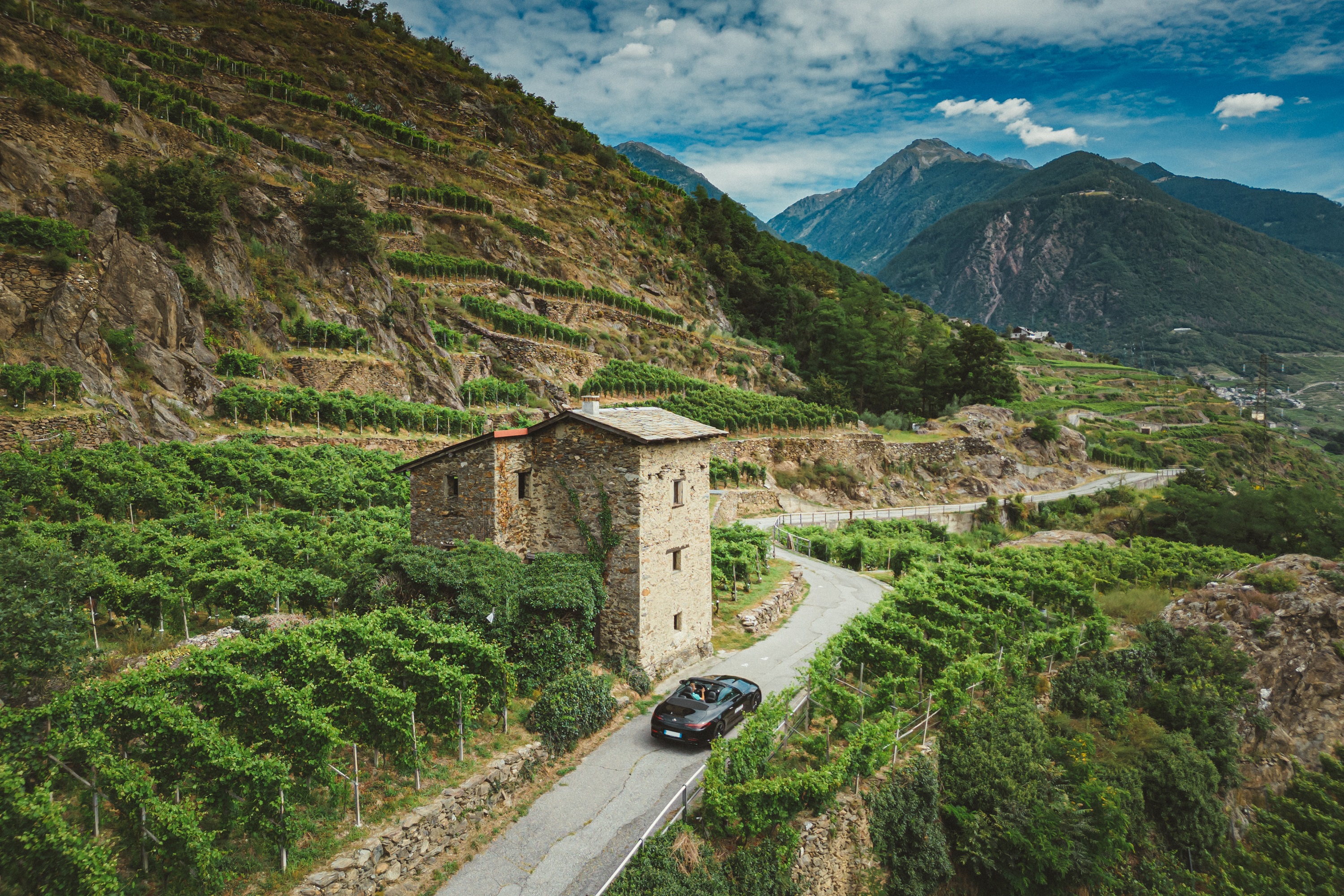 Ad agosto Autotorino resta al tuo fianco