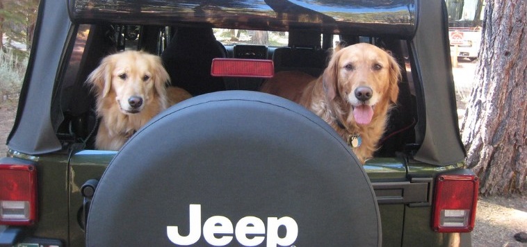 Viaggiare con il cane: Jeep Wrangler nuovamente nella Top Ten USA delle auto pet friendly