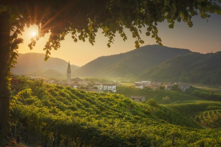 Autotorino BMW con la Prosecco Cycling 2026 tra le colline patrimonio UNESCO di Conegliano e Valdobbiadene 
