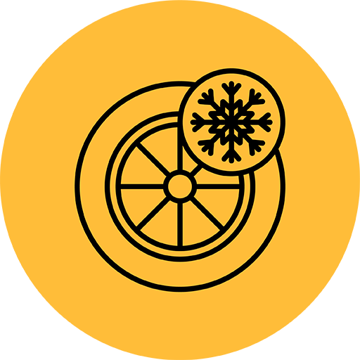 Icona pneumatici invernali